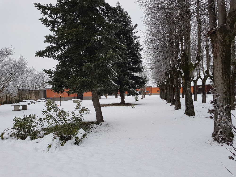 Foto: neve1
