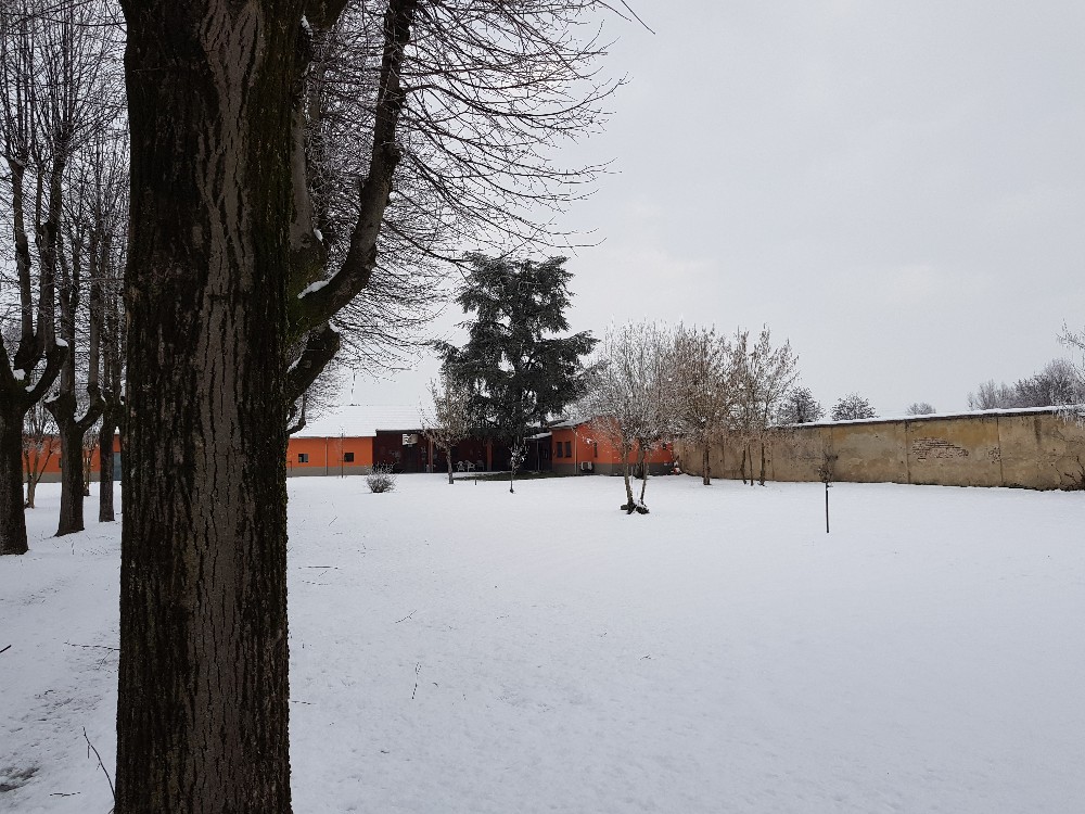 Foto: neve2