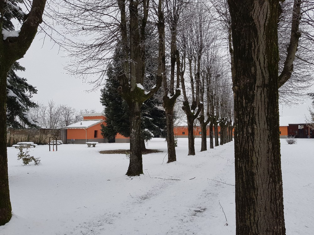 Foto: neve3